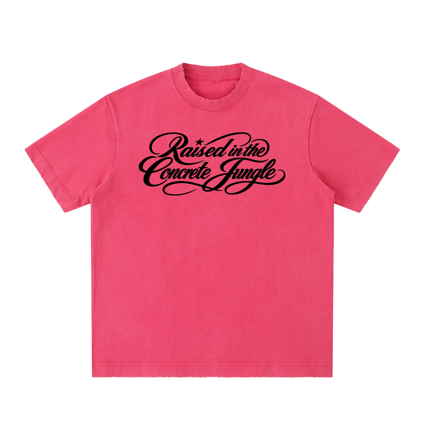430 GSM Anges Paris Script Heavyweight T-Shirt